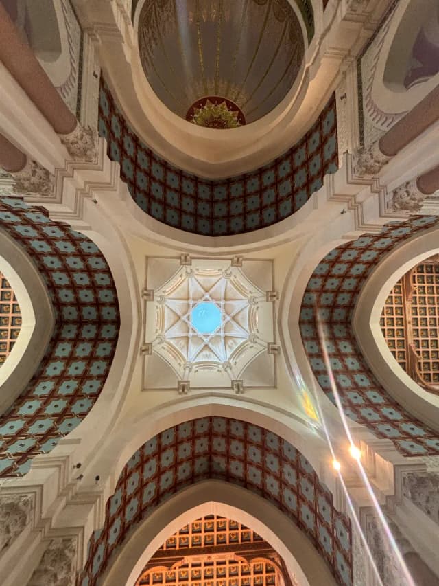 overview image