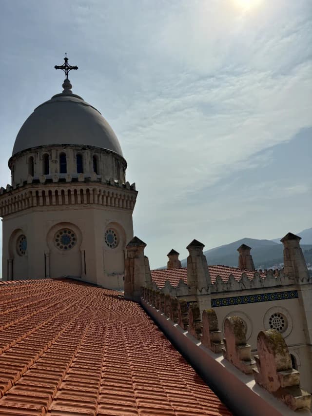 overview image