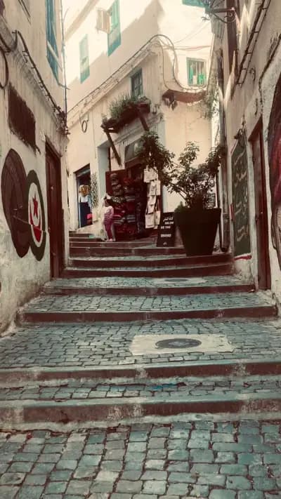 la-casbah-dalger-alger-i5