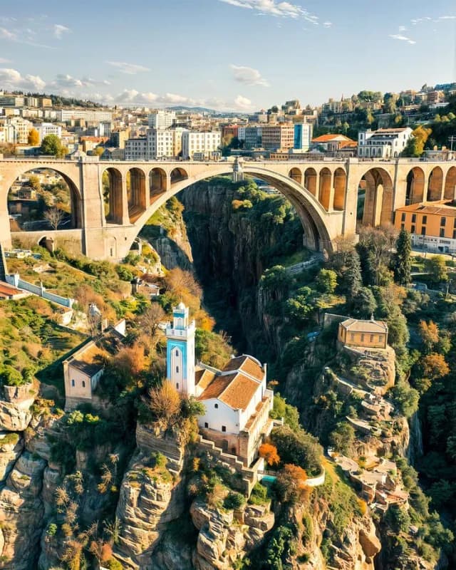 overview image