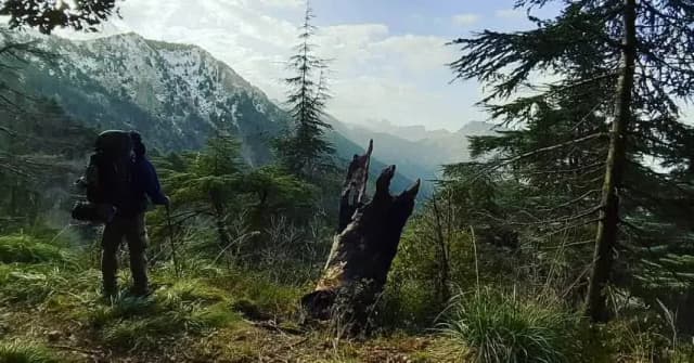 overview image