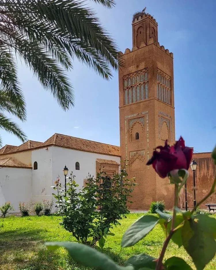 Visite guidée à Tlemcen, perle historique