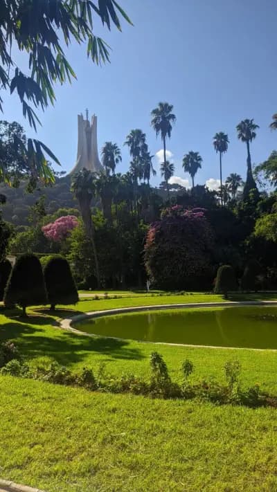 explore-algiers-with-a-local-guide-alger-i7