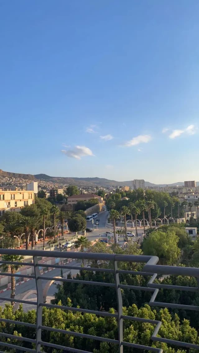 overview image