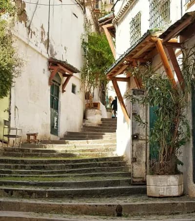visite-privee-de-la-casbah-dalger-alger-i3