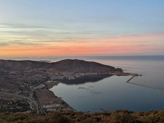overview image