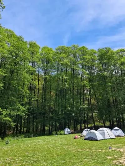 bivouac-tizghbane-alger-i4