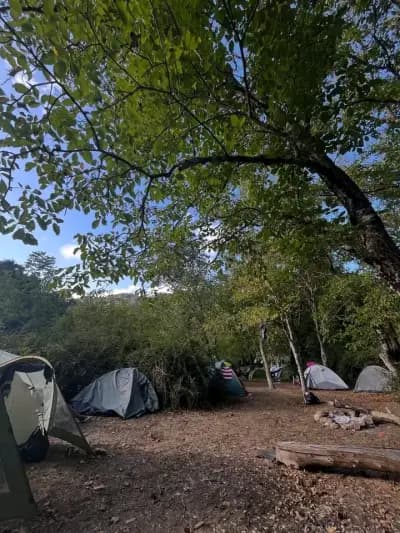 bivouac-tizghbane-alger-i5