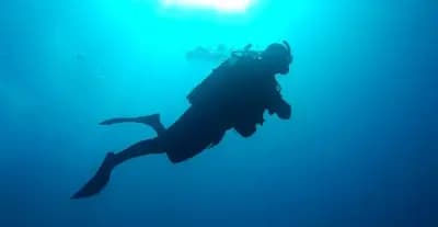 decouverte-plongee-sous-marine-alger-i0