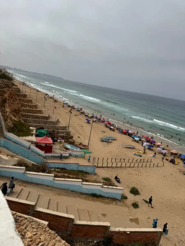 overview image