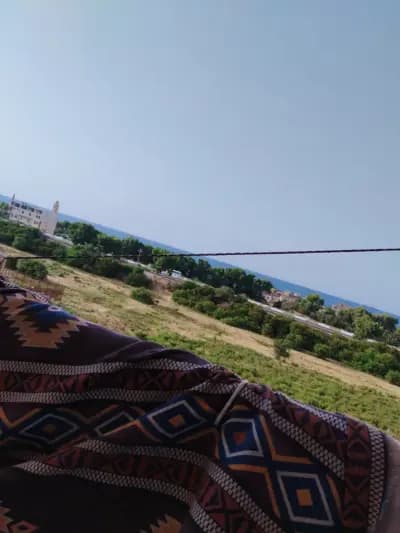 shqh-llkraa-alsyfy-jijel-i2