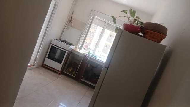 overview image