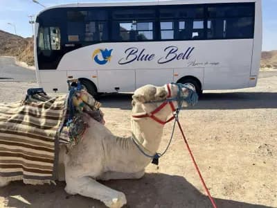 location-bus-tunis-i6-5e8ed788