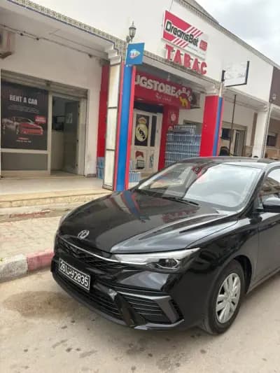 transfert-vip-tunis-i0-8a5a700c
