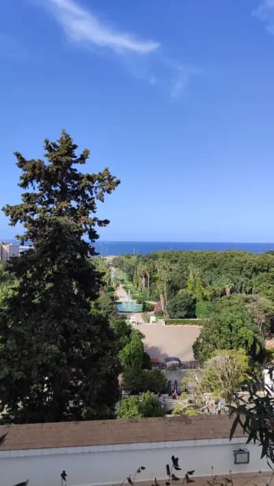 city-tour-alger-alger-i4-d80f50d4