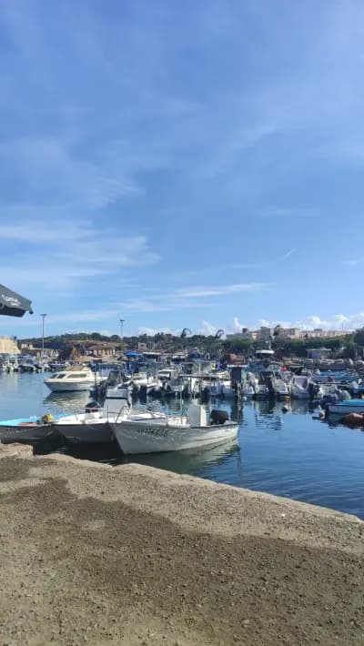tour-tipazacherchell-tipaza-i5-b47190fb