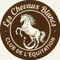chevaux blancs tipaza