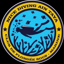 nice diving algerie