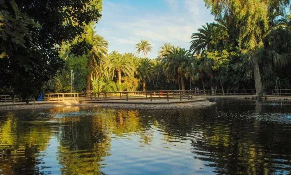 Jardin Landon, le paradis botanique de Biskra Jardin Landon, le paradis botanique de Biskra