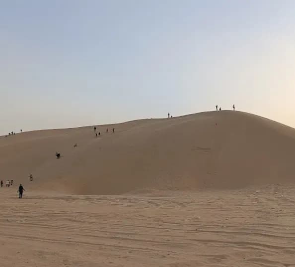Les dunes de l'Oued Les dunes de l'Oued