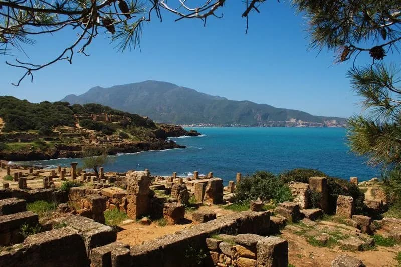 Tipaza Tour Guide Tipaza Tour Guide