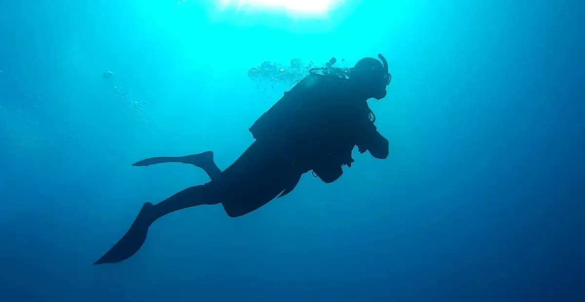 Plongée sous-marine Découverte Plongée sous-marine Découverte